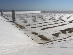 IMG_3272