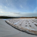 sardegna-spiritu-santu-olbia-de-mare (10)